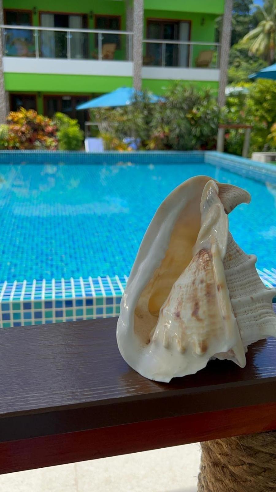 Benjamine'S Guesthouse La Digue Eksteriør billede